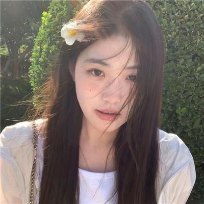 雏鸟的天空